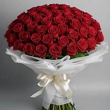 Букет 101 Красная роза Блэк Мэджик в Северном Белгородской области