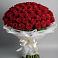 Букет 101 Красная роза Блэк Мэджик в Северном Белгородской области