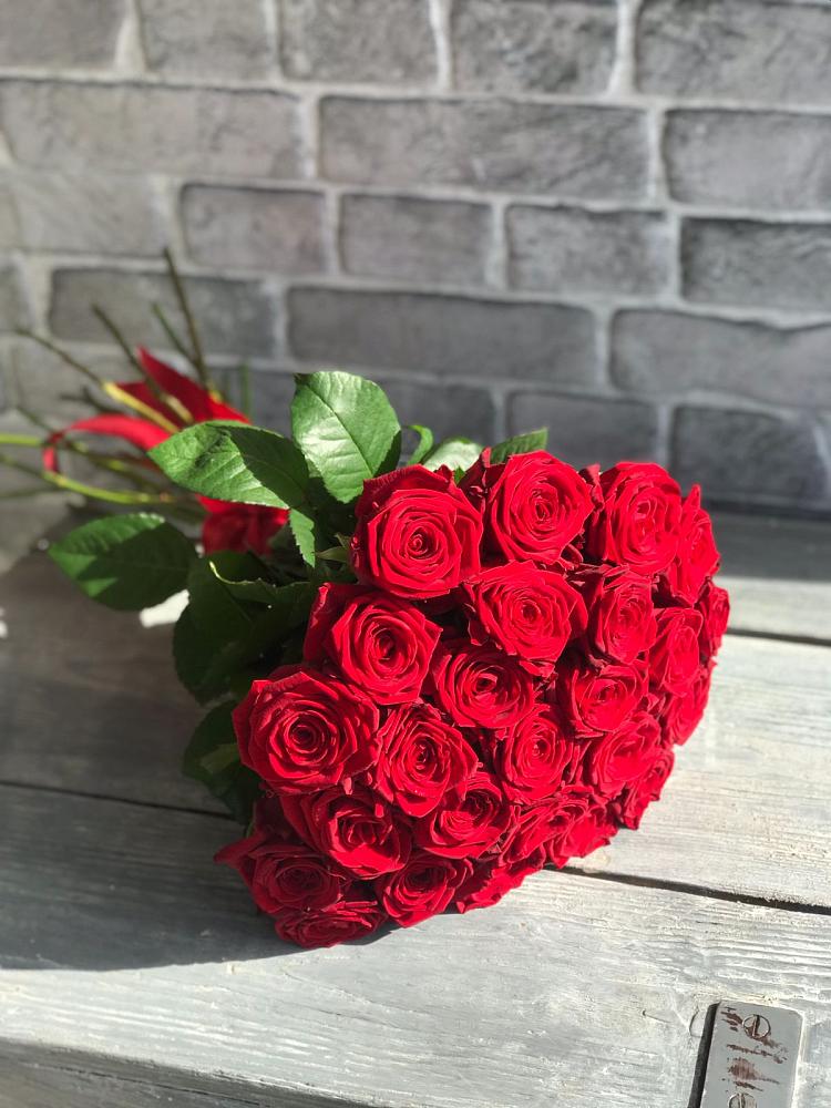 Букет Красные розы Фридом в Северном Белгородской области