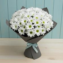 Букет цветов из:  Хризантемы в Северном Белгородской области