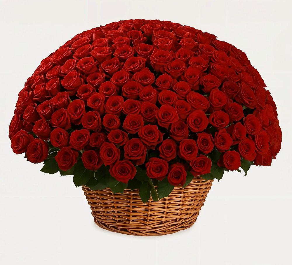 Премиум букет из: Розы в Северном Белгородской области