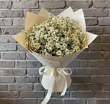 Букет цветов из:  Ромашки #REPLACE_PRED# Северном Белгородской области