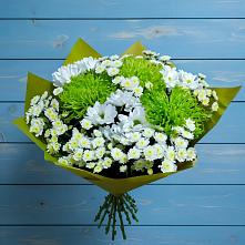 Букет цветов из:  Хризантемы в Северном Белгородской области