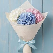 Букет цветов из:  Гортензия в Северном Белгородской области