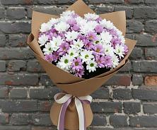 Букет цветов из:  Хризантемы в Северном Белгородской области