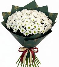 Букет цветов из:  Хризантемы в Северном Белгородской области