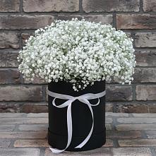 Цветочная композиция из Гипсофила в шляпной коробке #REPLACE_PRED# Северном Белгородской области
