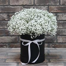 Цветочная композиция из Гипсофила в шляпной коробке в Северном Белгородской области
