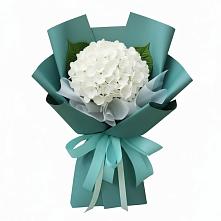 Букет цветов из:  Гортензия в Северном Белгородской области